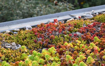 the cost of Sutton Veny green roof installation
