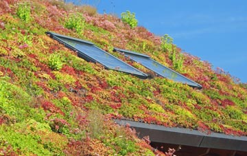 Sutton Veny living roof systems
