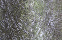 Sutton Veny fibreglass roof work